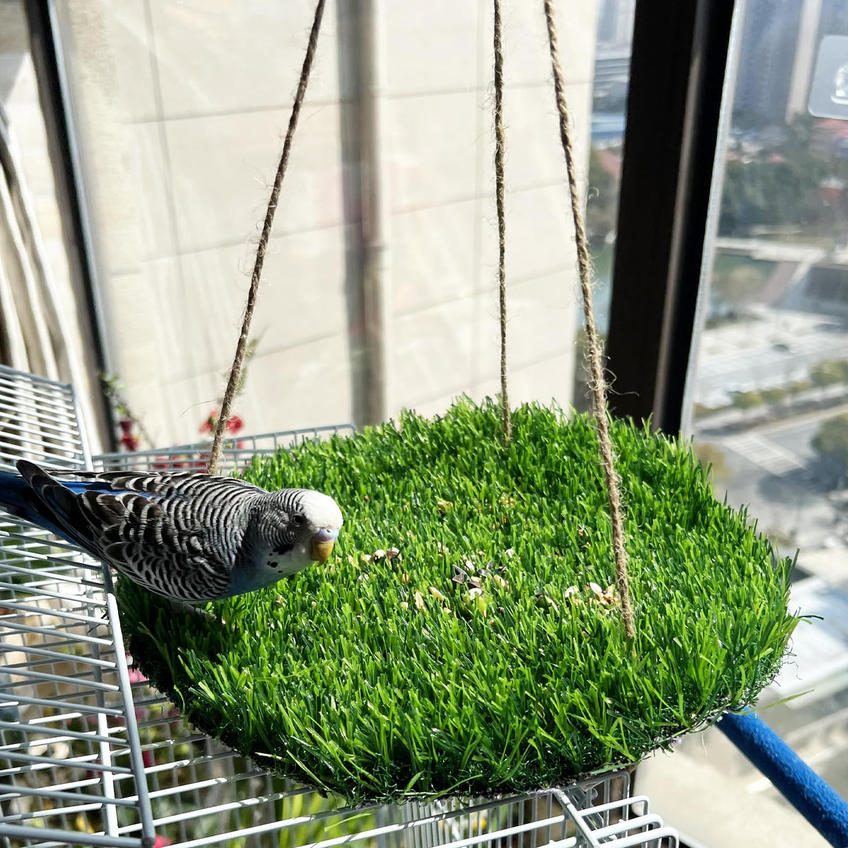 FlidRunest bird-foraging-mat-grass-hammock provides natural enrichment for parakeets.