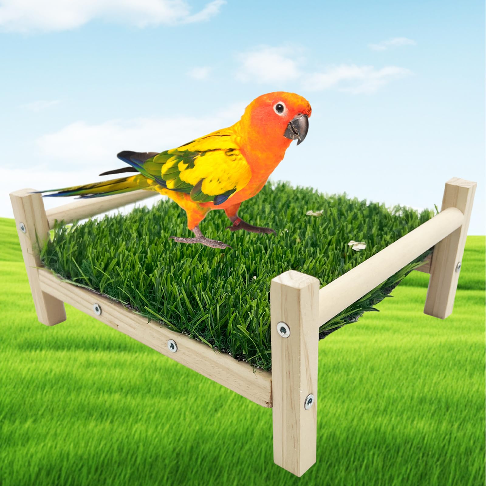 FlidRunest bird hammock bed with grass mat provides cozy perching and resting for parrots.
