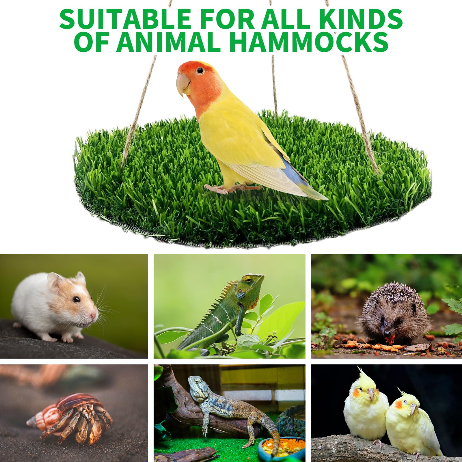 FlidRunest-foraging-mat-treat-guide highlights interactive food-search enrichment.