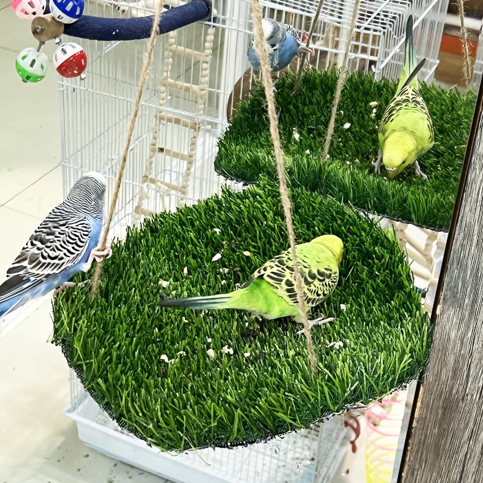 FlidRunest large-bird-foraging-mat-hooks enables easy installation in any cage.