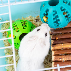 FlidRunest multi-animal enrichment demonstrates versatile entertainment for small pets