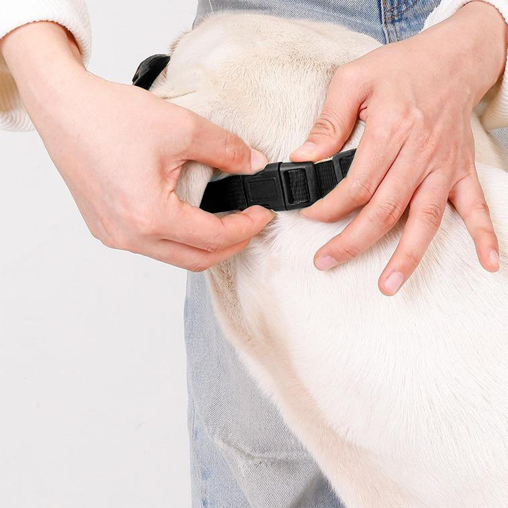 Flintstone-dog-muzzle-easy-clean simplifies post-use maintenance.