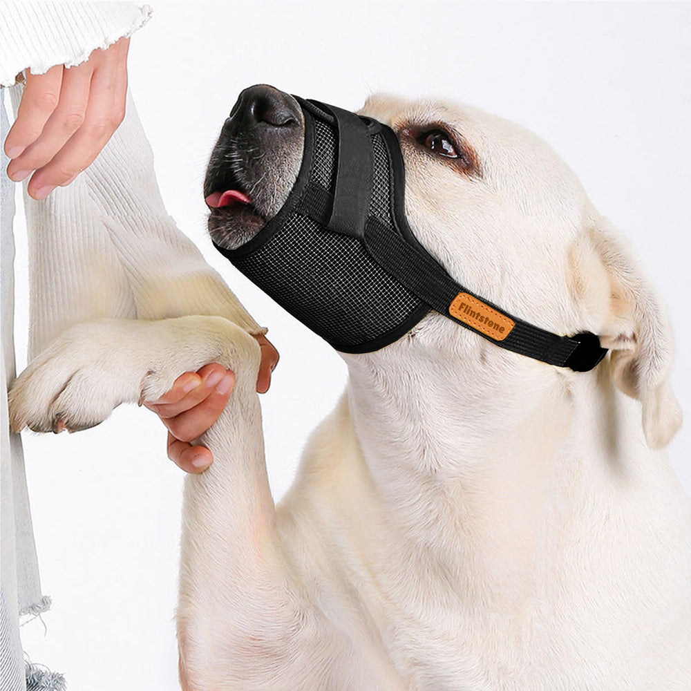 Flintstone-dog-muzzle-travel-comfort ideal for on-the-go dog owners.