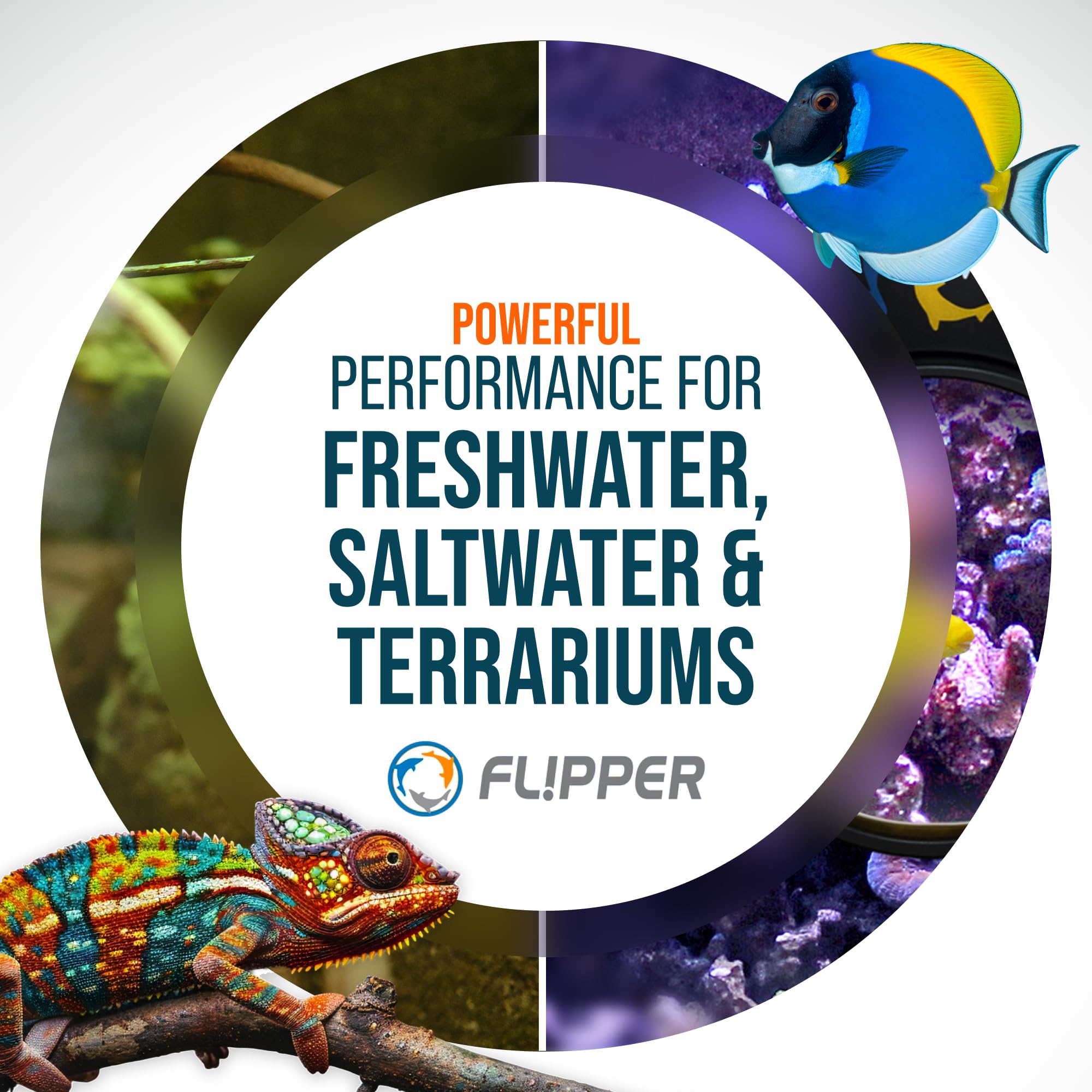 Flipper DeepSee coral and fish observation boosts inspection accuracy in reef tanks.