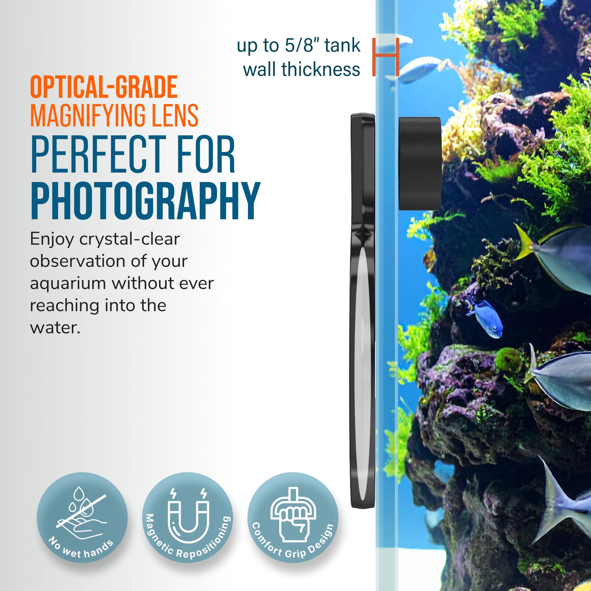 Flipper DeepSee fish detail helps hobbyists spot stress signs and promote calmer aquarium scenes