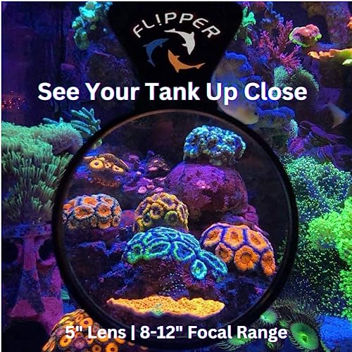 Flipper DeepSee under water view enables near-silent inspection of reef-life during tank maintenance