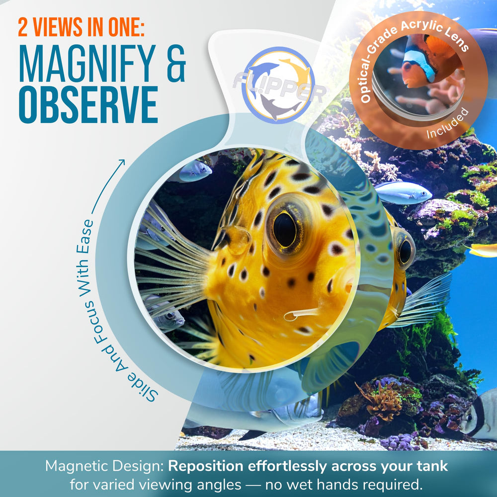 Flipper DeepSee undersea viewing setup helps close-up coral and fish inspection.