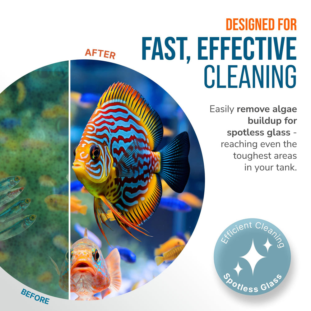FLIPPER Float Standard in-action cleaning removing algae and debris