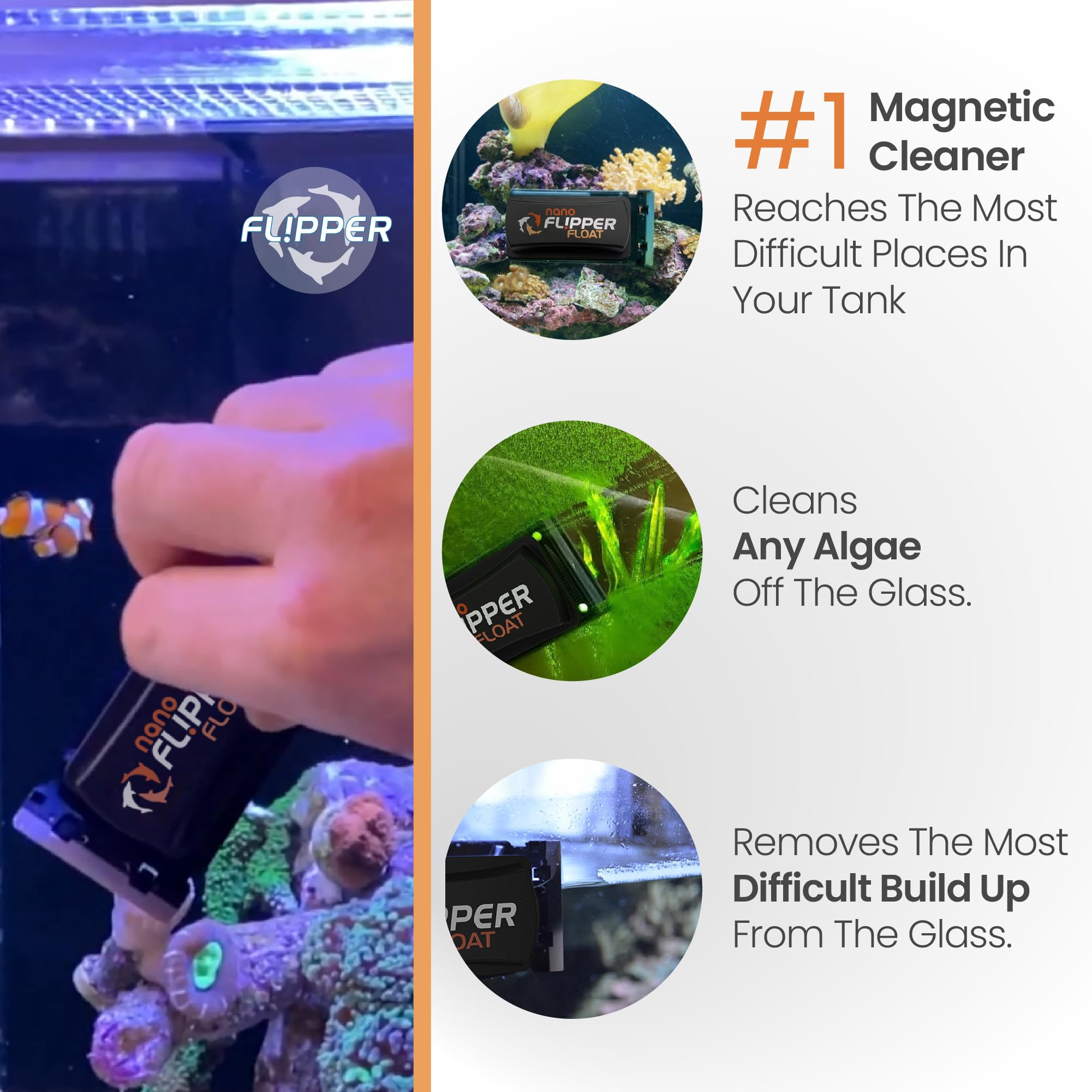 Flipper nano in a freshwater tank removing stubborn algae.