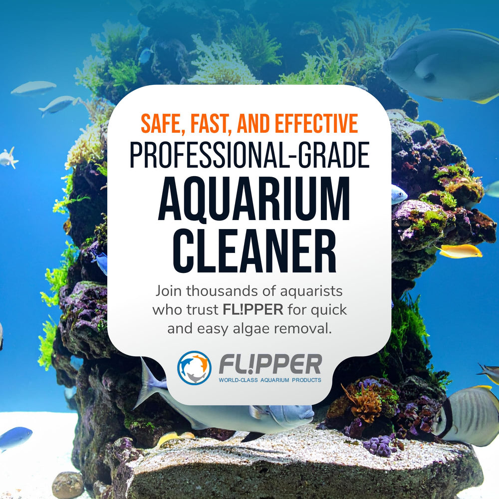 FLIPPER Max stainless steel glass blade and ABS acrylic blade included