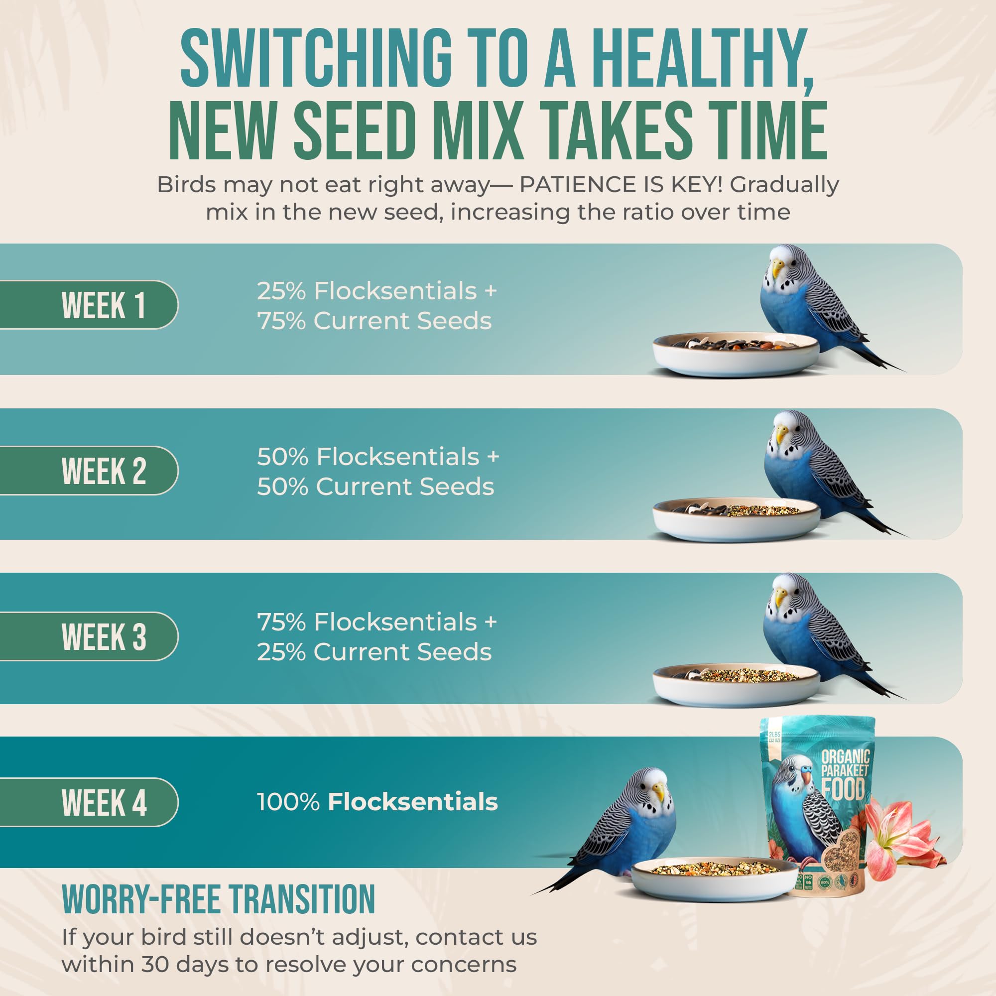 Flocksentials natural ingredients image highlights clean, dye-free nutrition.