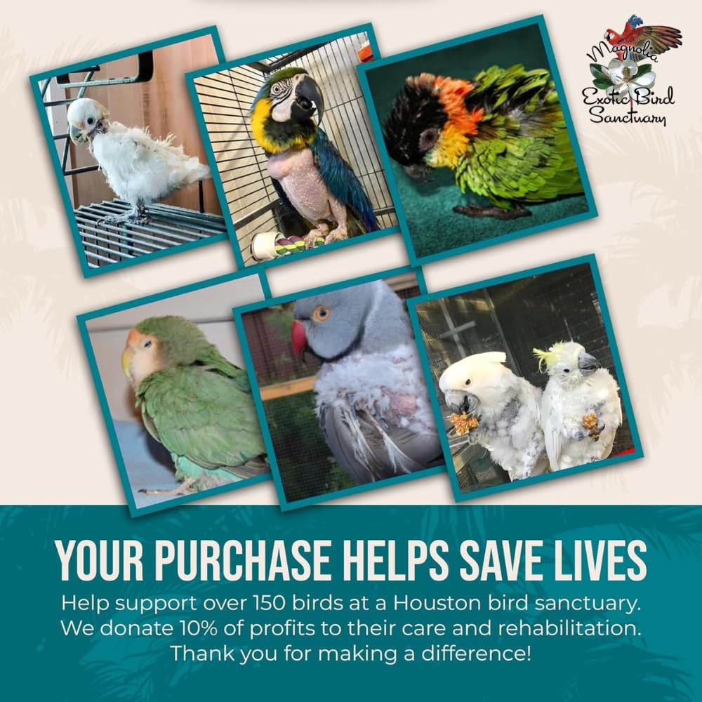 Flocksentials transition guarantee image reassures a 30-day adjustment support.