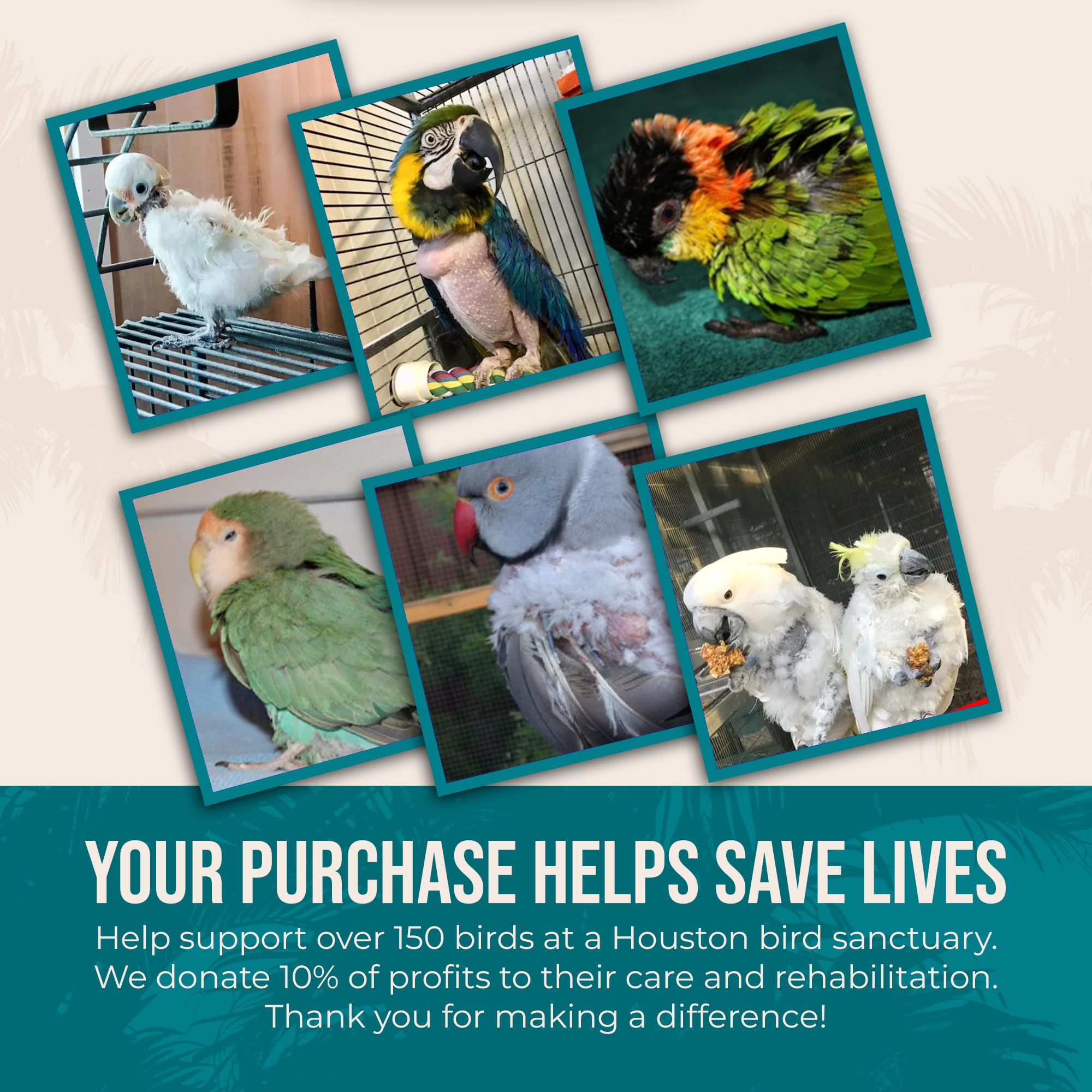 Flocksentials USA-made seed mix packaging supports local production and accountability.
