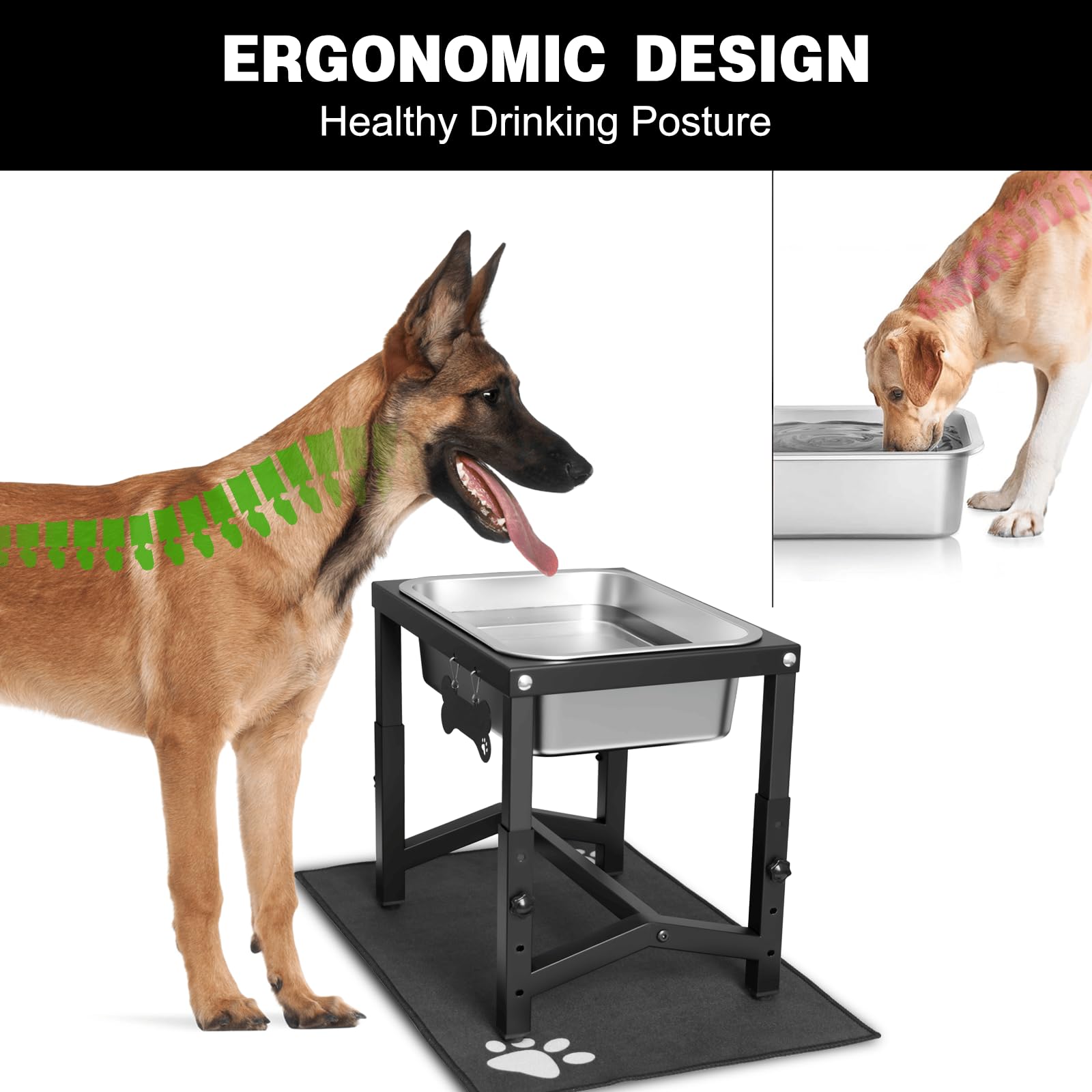Flodomix large dog water bowl capacity shows water for multiple pets