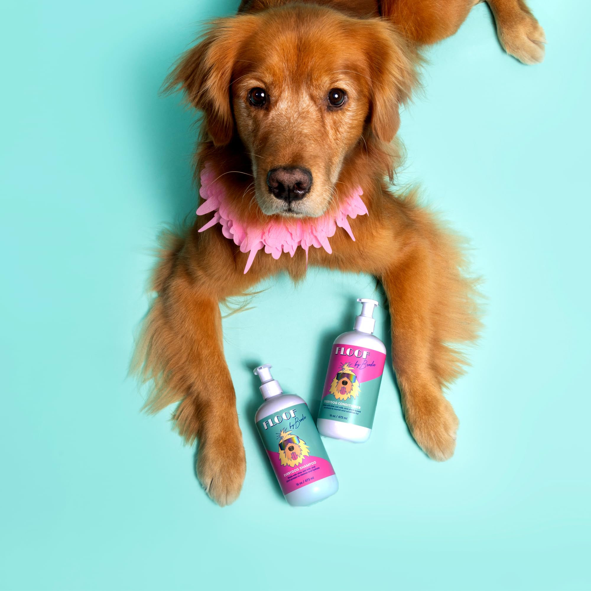 Floof by Brodie Everydog after-use coat shines with softness and pleasant scent.