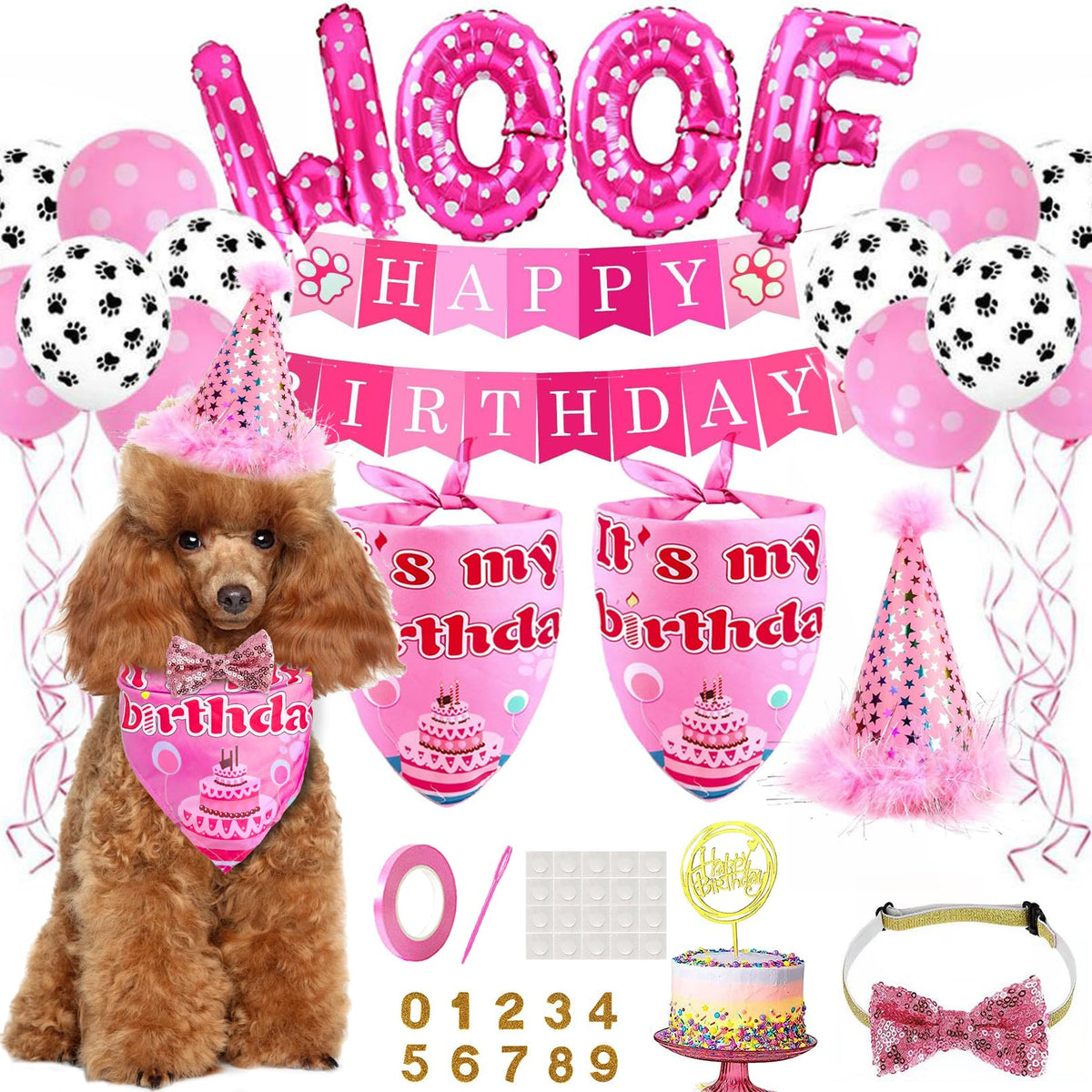 floofelove birthday-hat close-up with star decor for festive dog photos