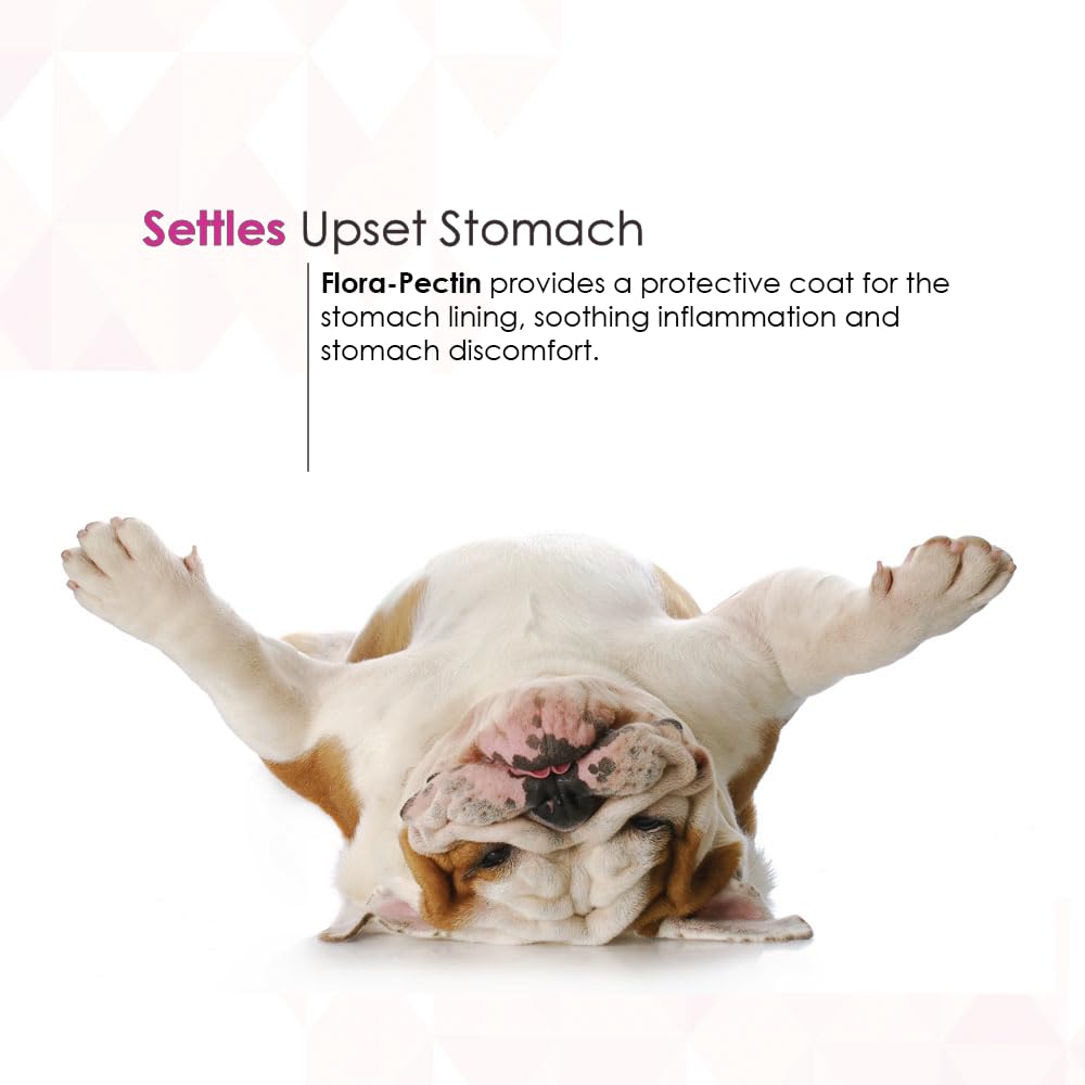 FLORA-PECTIN kaolin-pectin-digestive-balance image emphasizes moisture absorption for stool form