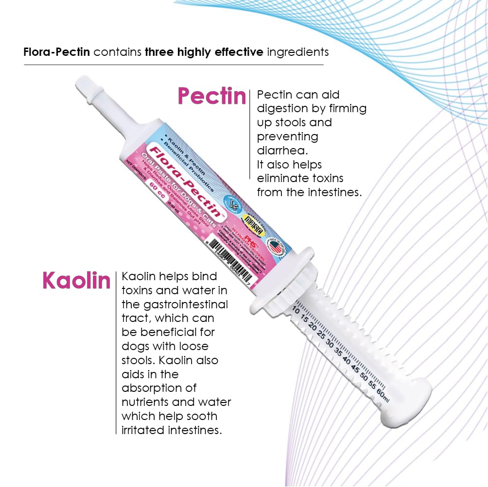 FLORA-PECTIN probiotic-strains-label outlines gut flora support with four strains