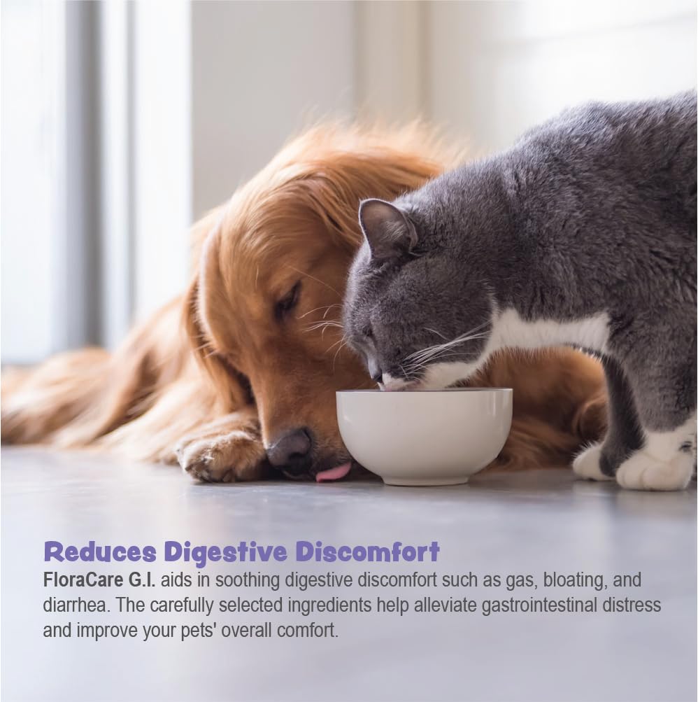Pet Health Solutions FloraCare G.I. paste Bacillus Subtilis culture detail.