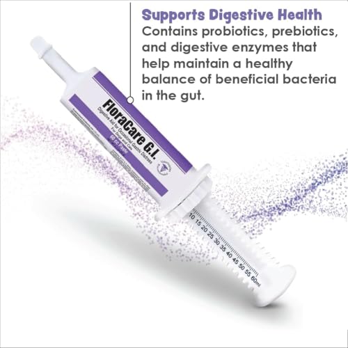 Pet Health Solutions FloraCare G.I. paste served for dogs with comforting GI-friendly texture.
