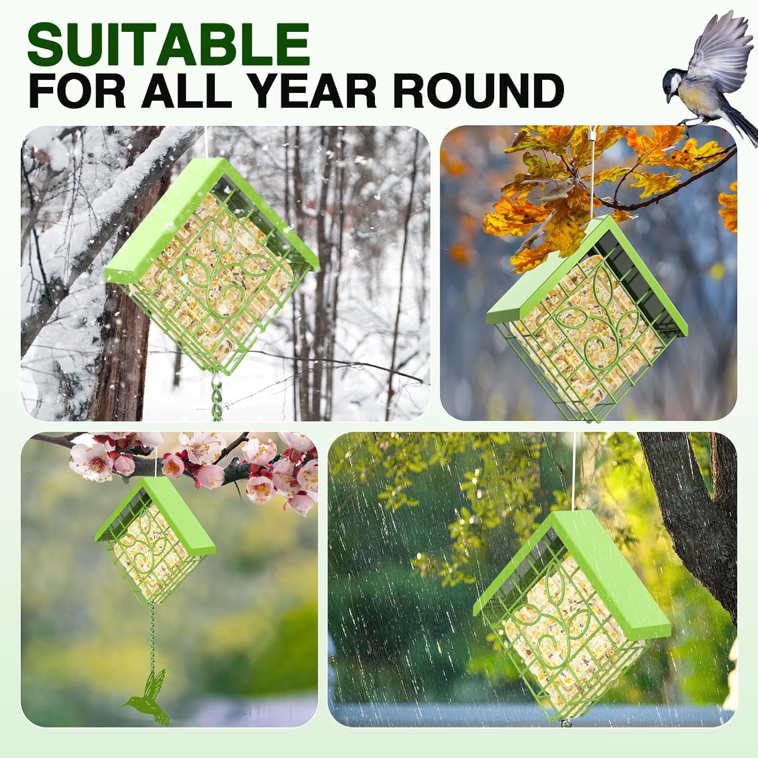 FlowaFoli suet feeder roof deters squirrels while birds feed