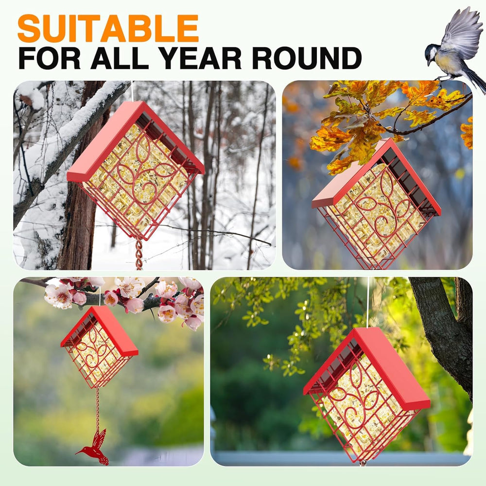 FlowaFoli Suet Feeder versatile feeding options support suet cakes, seeds, and fruit.