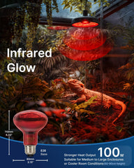 FLSNT 100W infrared basking light closeup demonstrates balanced heat for reptiles