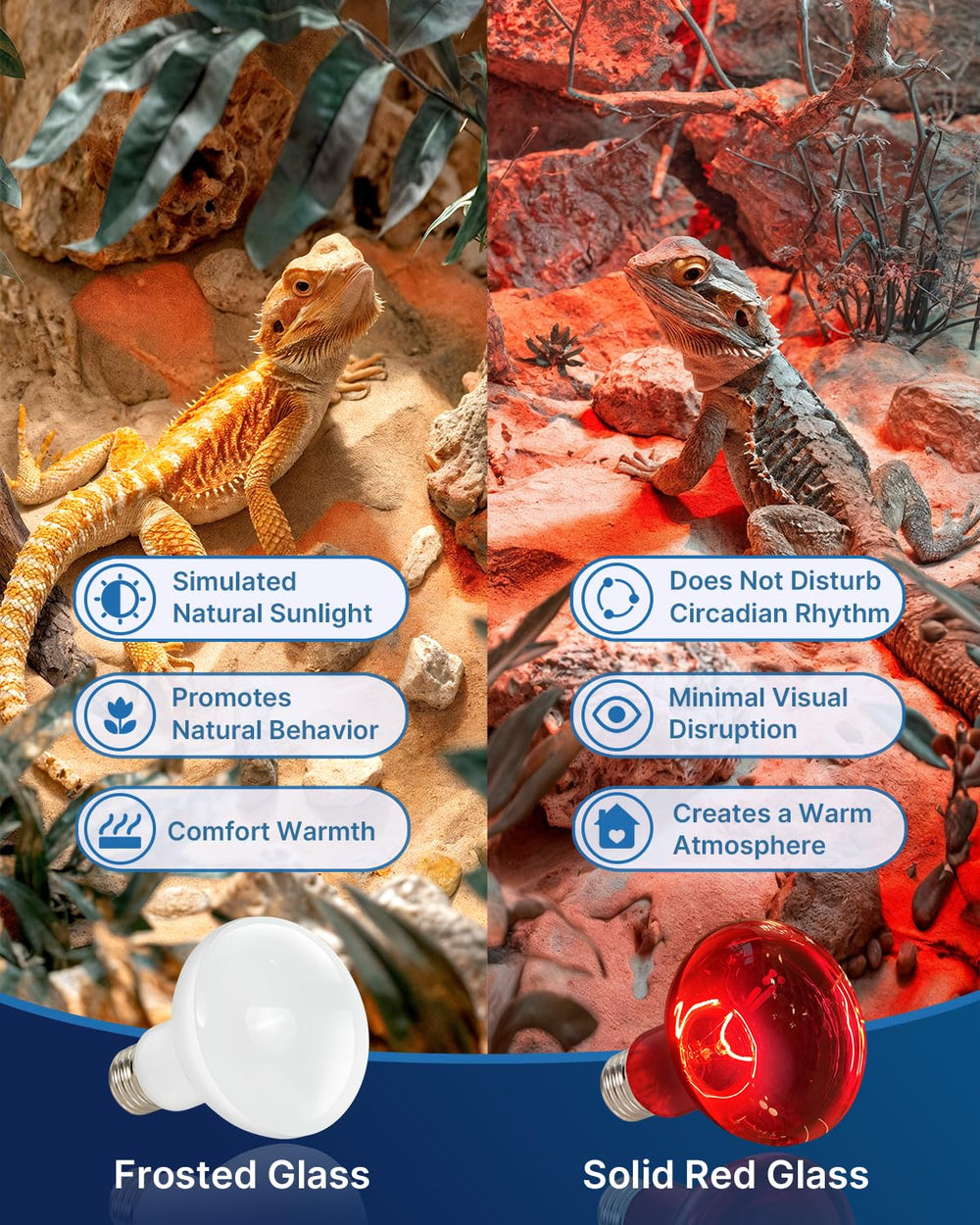 FLSNT turtle and gecko terrarium heat lamp fosters natural heat zones