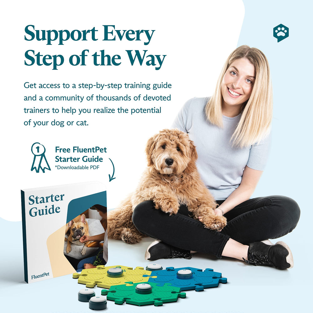 FluentPet dog cat using buttons demonstrates active communication in daily routines