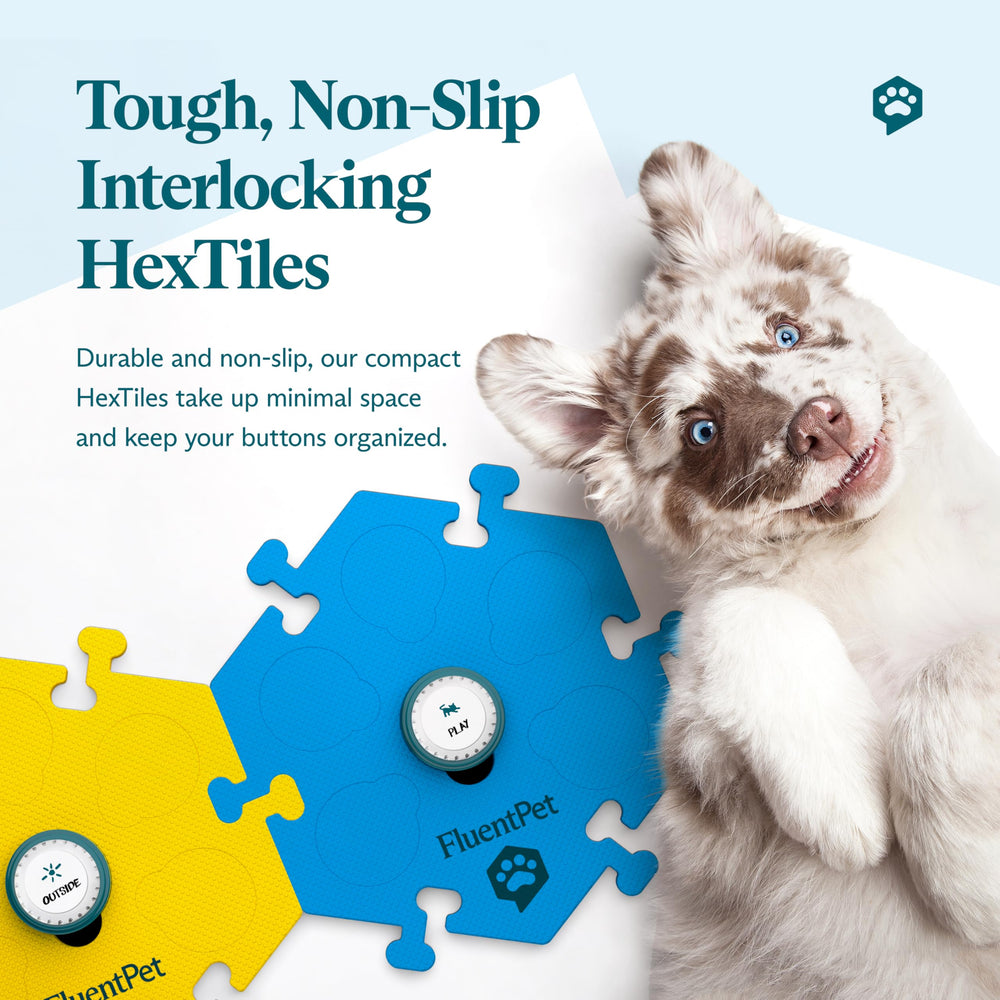 FluentPet HexTiles expandable vocabulary grows with your pet