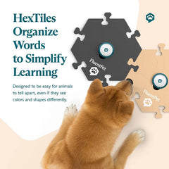 FluentPet HexTiles layout illustrating expandable vocabulary setup