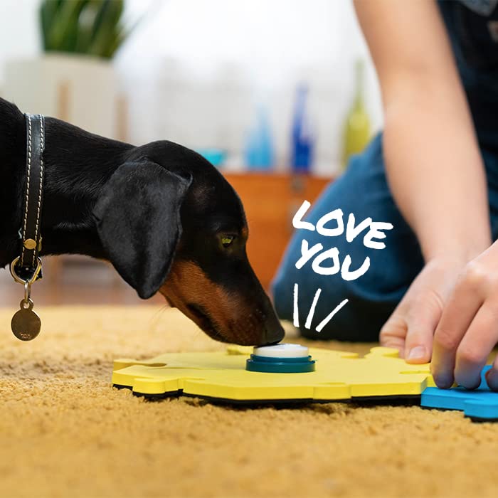 FluentPet gift set brightens holidays with bonding and learning
