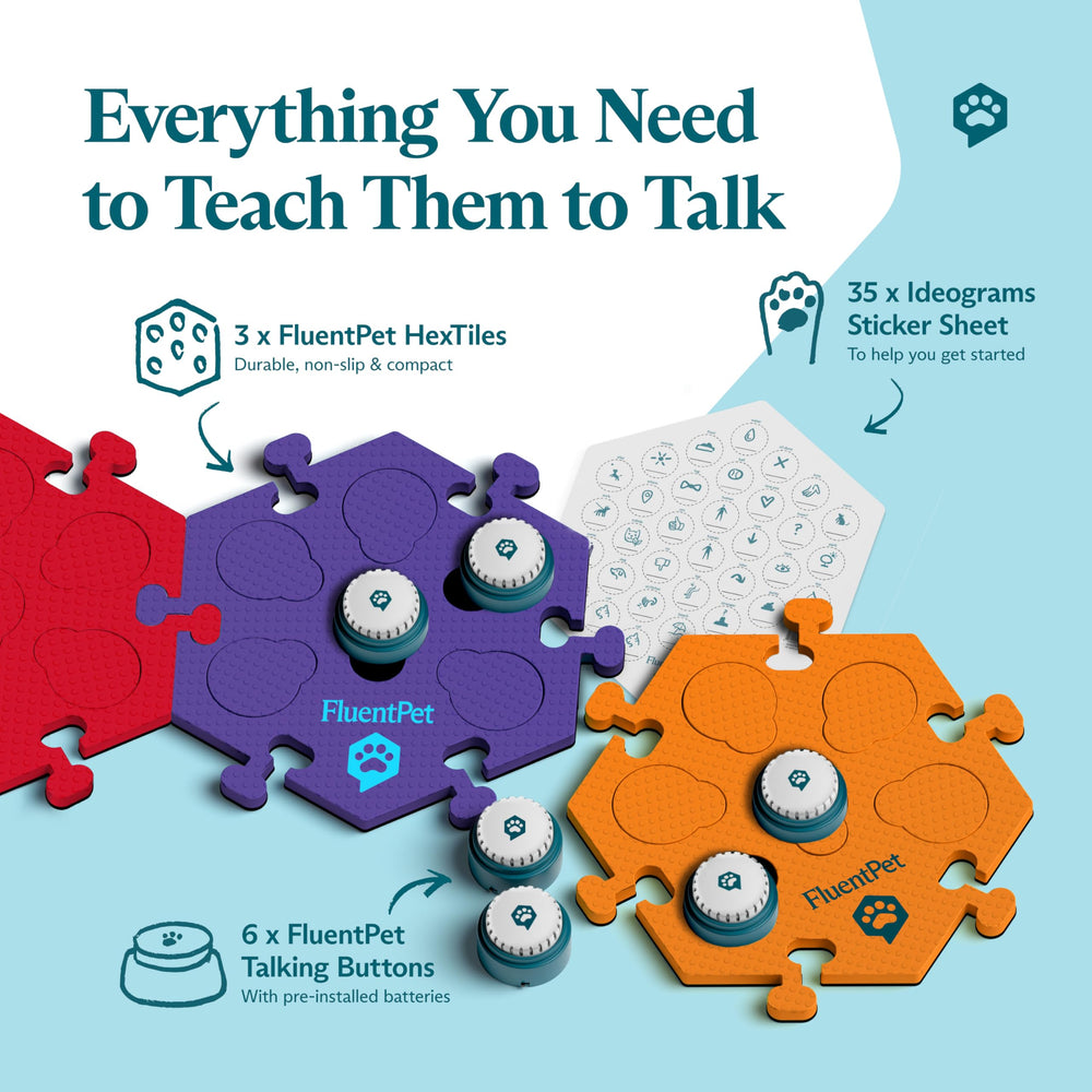 FluentPet HexTile mats highlight organized layout for category-based word learning.