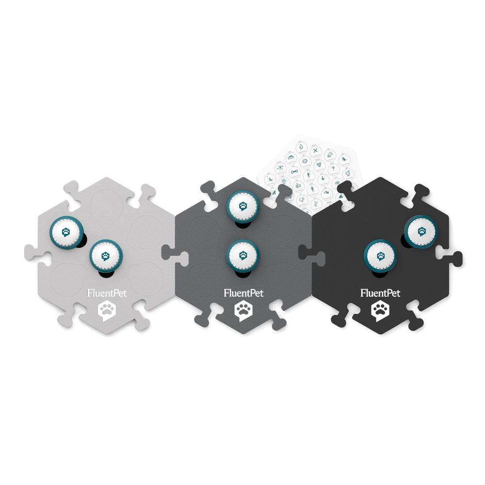 FluentPet Speak Up! step-by-step training guide supports learning progress.