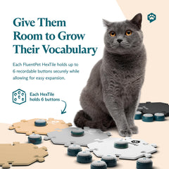 FluentPet Speak Up hextiles layout demonstrates category-driven word organization for faster learning.