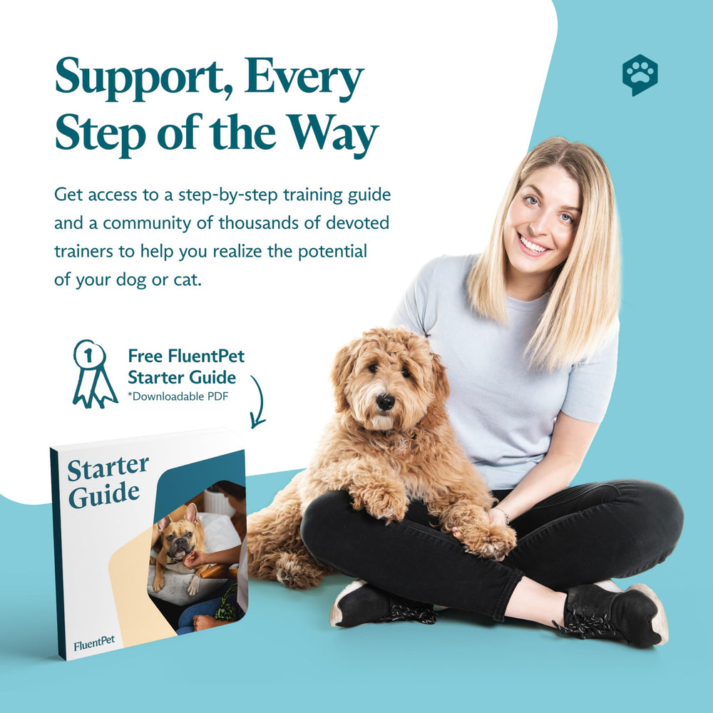 FluentPet step-by-step training video guides setup for faster learning