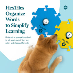 FluentPet stickers help customize prompts for faster learning