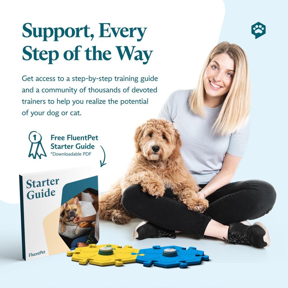 FluentPet teaching resources connect you to trainers and tips