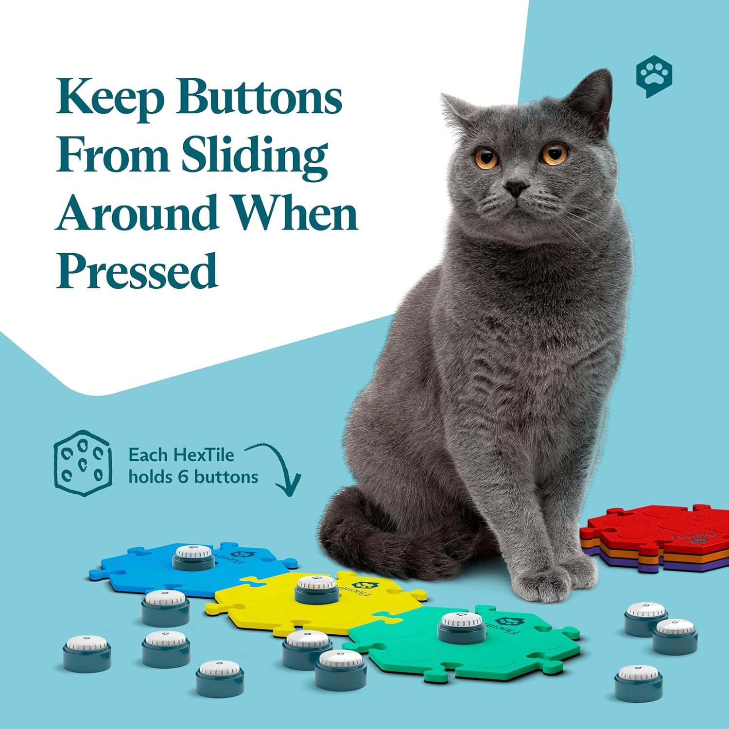 FluentPet upward-facing sound delivers clear feedback at comfortable volumes for pets