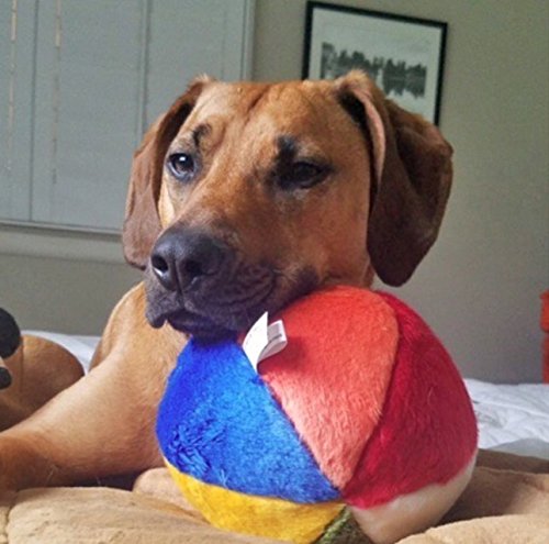 Fluff & Tuff Beach Ball shows reinforced seams and plush texture for durable play sessions.
