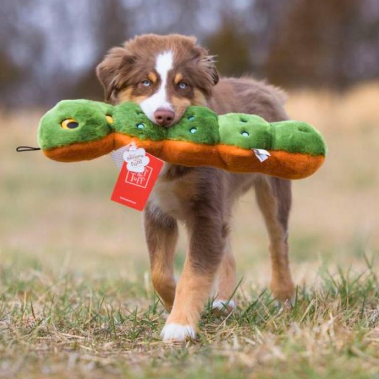 Fluff & Tuff Katie the Caterpillar double-stitched-seams detail demonstrates reinforced construction for resilience.