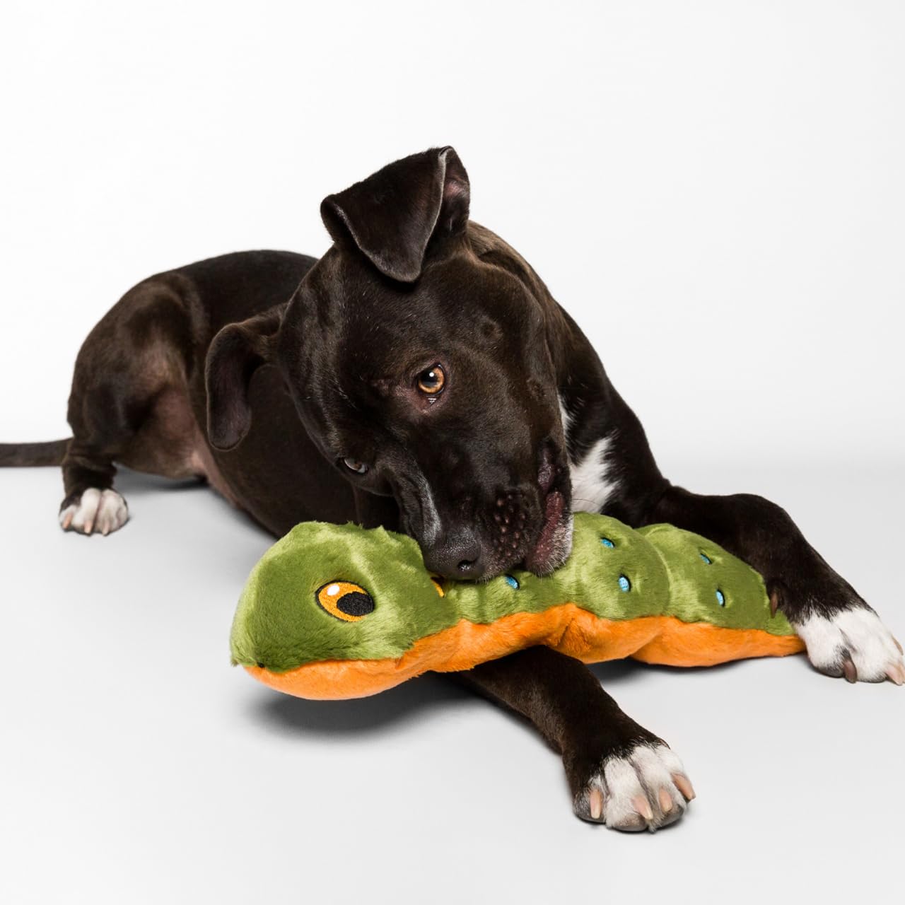 Fluff & Tuff Katie the Caterpillar ultra-plush-fabric shot highlights cozy texture your dog will seek.