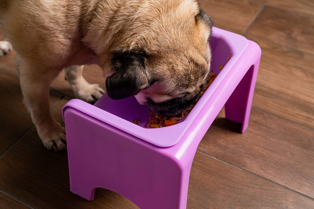Fluff Trough BPA-free-dog-cat-feeder highlights safe, non-toxic materials