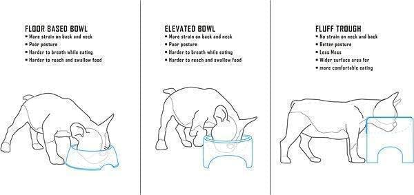 Fluff Trough BPA-free and non-toxic materials ensure pet-safe feeding.