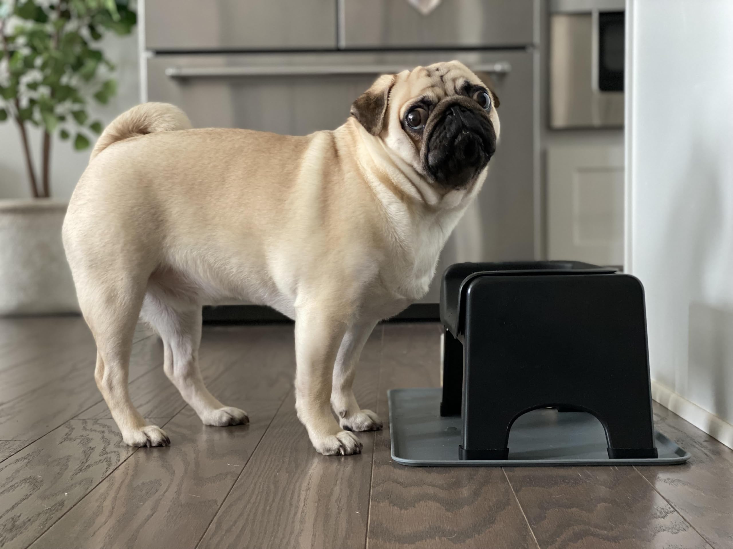 Fluff Trough compact dimensions designed to fit in small feeding spaces.