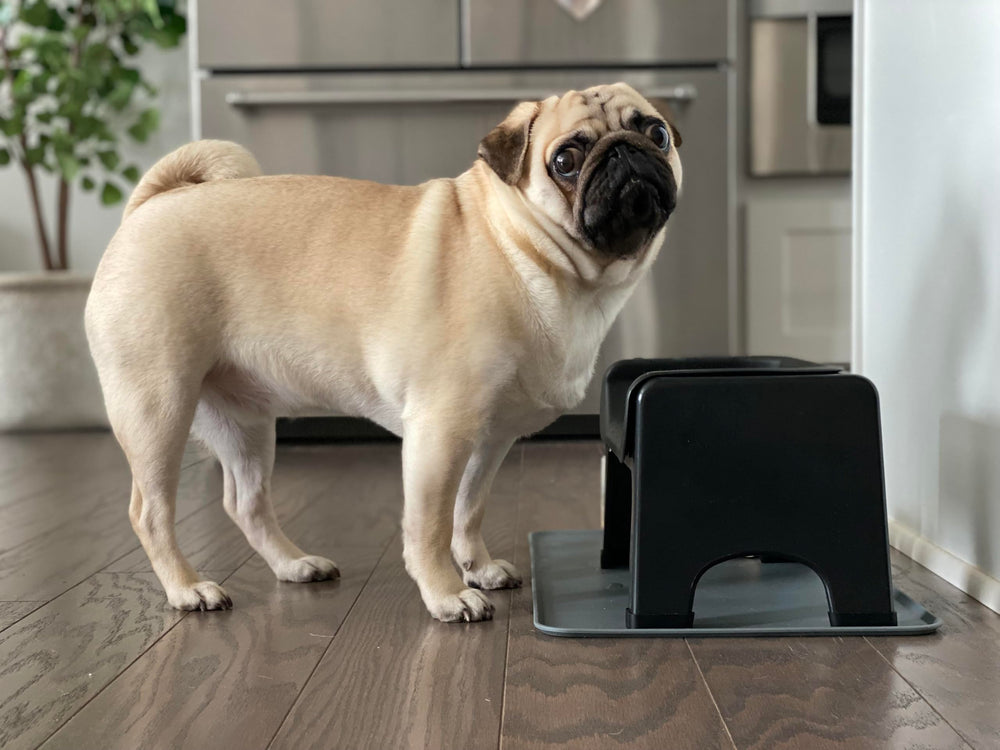 Fluff Trough compact dimensions designed to fit in small feeding spaces.