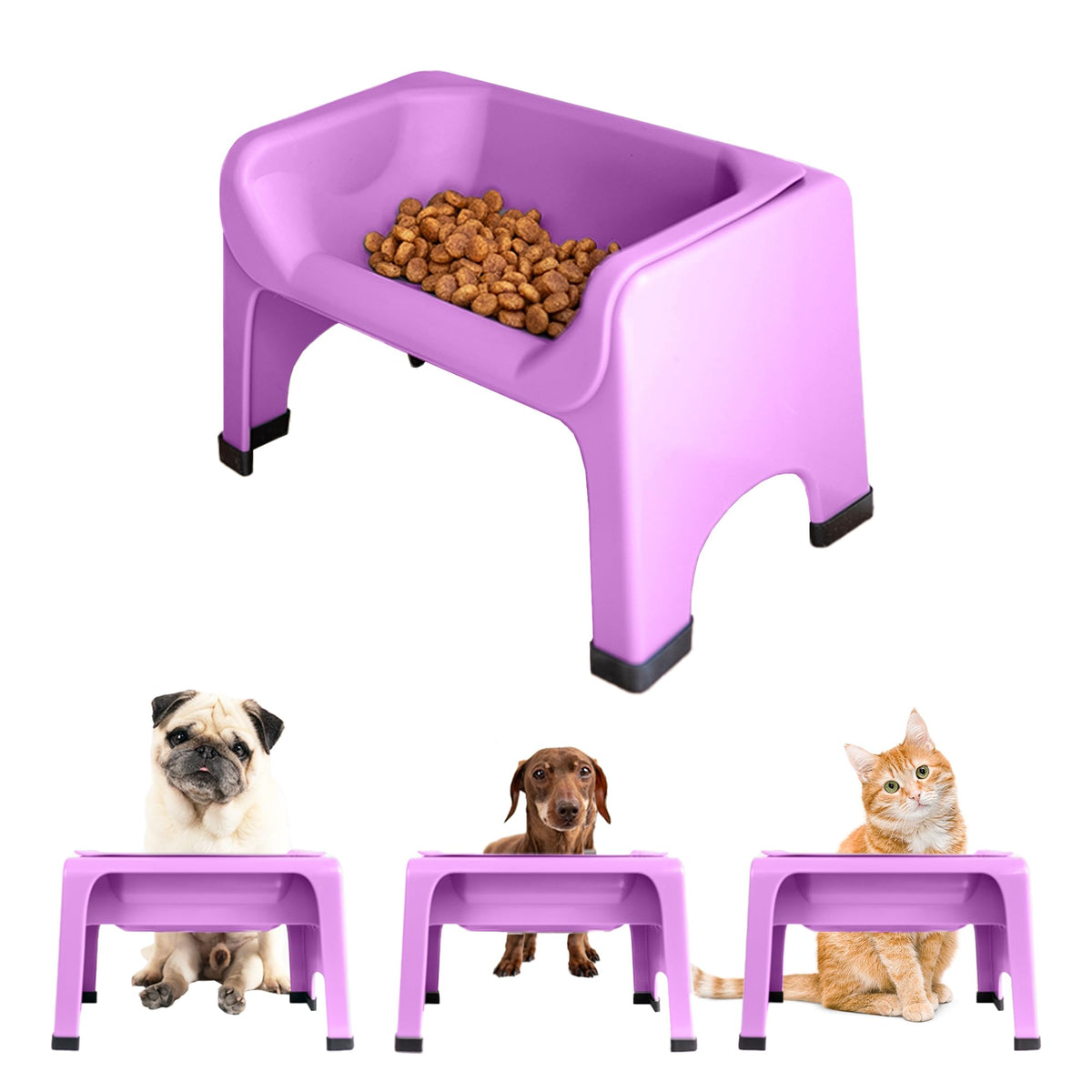 Fluff Trough elevated-dog-bowl-purple demonstrates neck-friendly meals for flat-faced pets