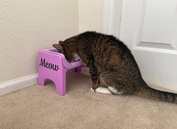 Fluff Trough flat-face-pet-feeding captures suitability for brachycephalic breeds