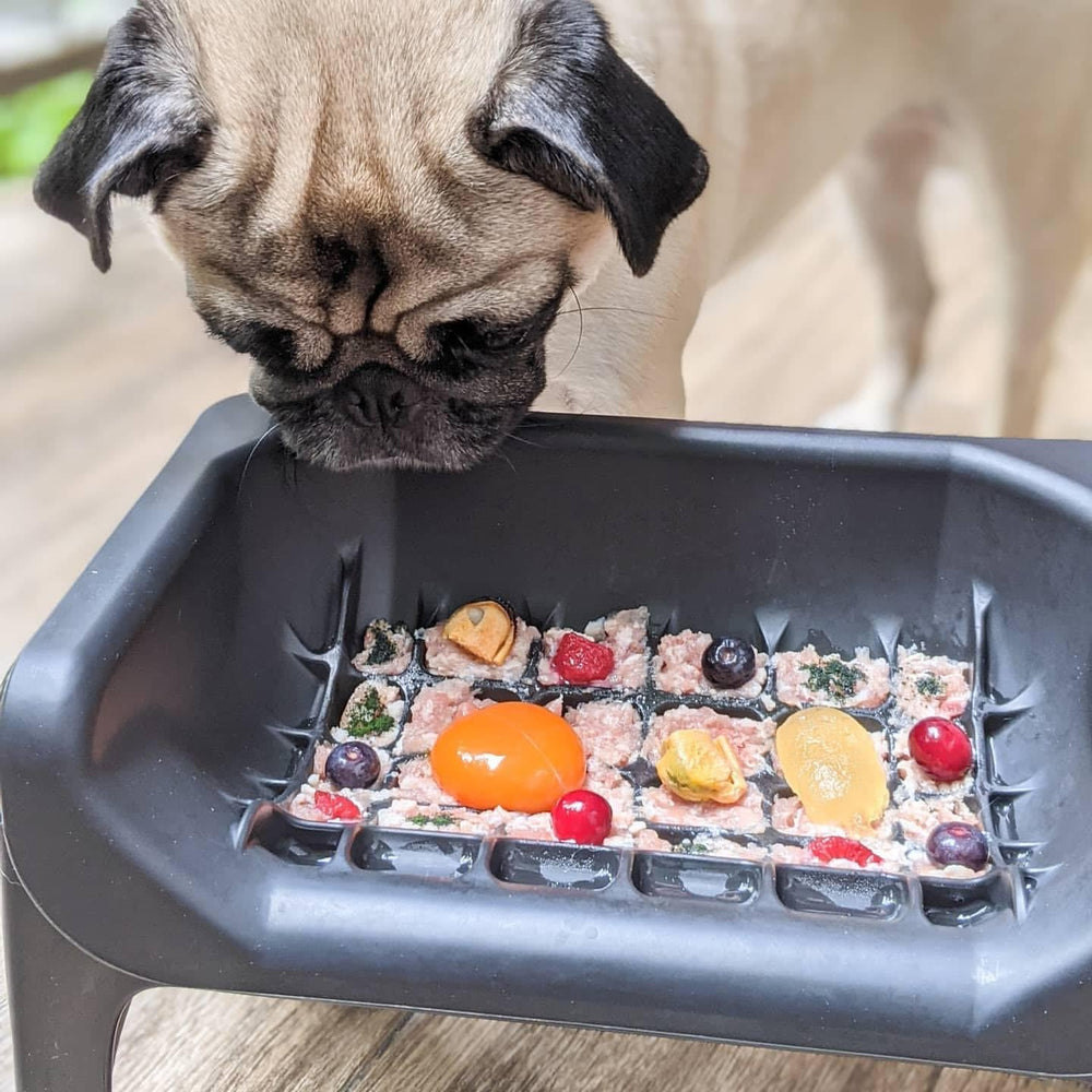 Fluff Trough ergonomic design tailored for flat-faced pets supports comfortable feeding posture.