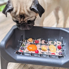 Fluff Trough ergonomic design tailored for flat-faced pets supports comfortable feeding posture.